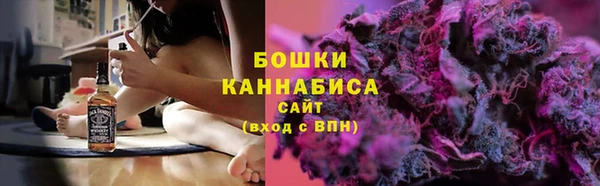 прущие грибы Абдулино