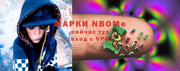 прущие грибы Абдулино
