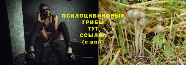 PSILOCYBIN Ростов