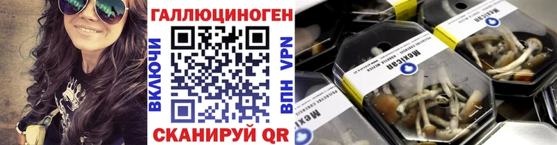 Псилоцибиновые грибы GOLDEN TEACHER  мега ссылка  Бугуруслан  где найти наркотики 