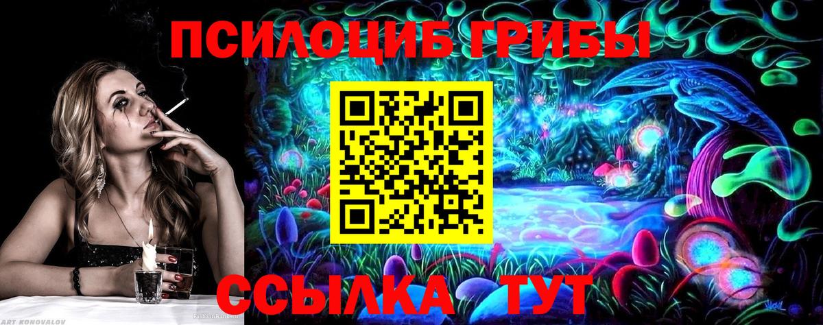 Псилоцибиновые грибы Psilocybe  Вход с VPN  Бугуруслан  Псилоцибиновые грибы прущие грибы 
